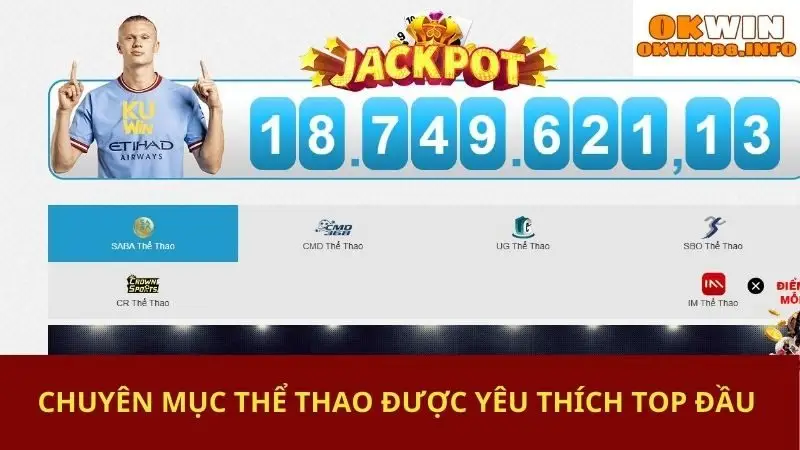 Chuyên mục thể thao được yêu thích top đầu